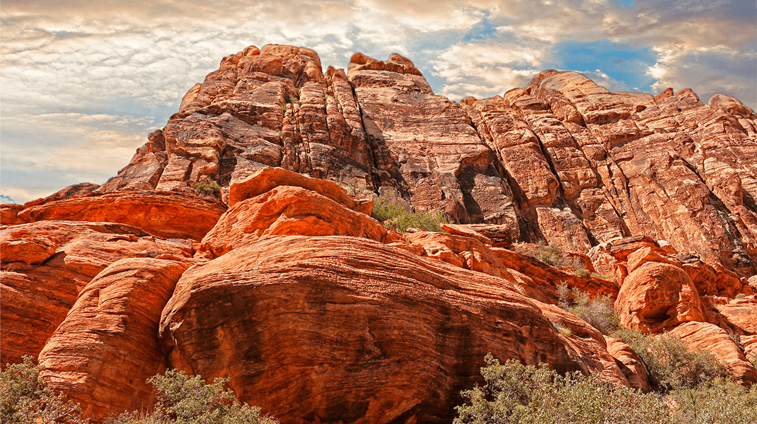 Ecología y Empresas (Parte I): La estructura de un sector