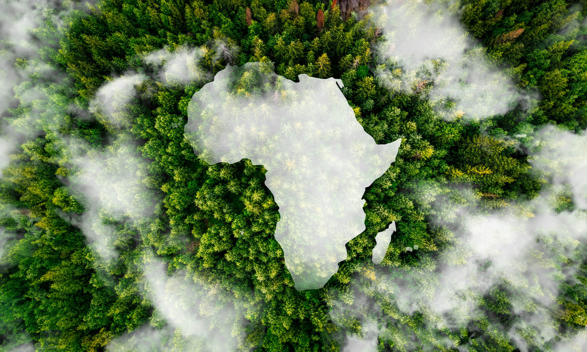 Fondo de Ayuda a África, una iniciativa solidaria de BESTINVER