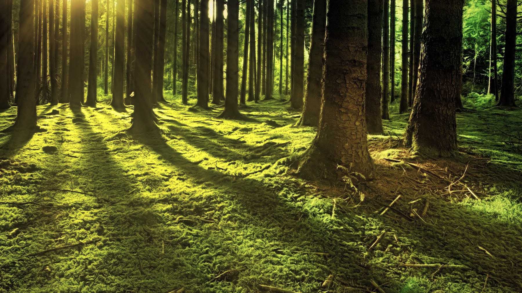 Criterios ESG y las preguntas que nos hacemos en BESTINVER