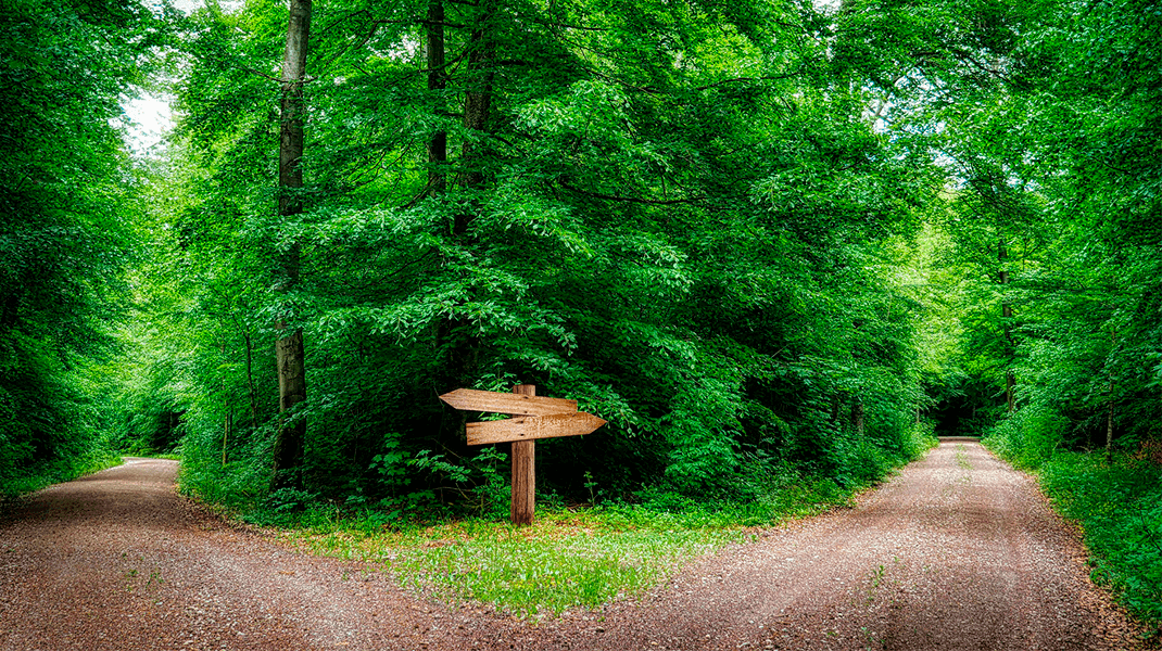 Cómo buscar ideas de inversión