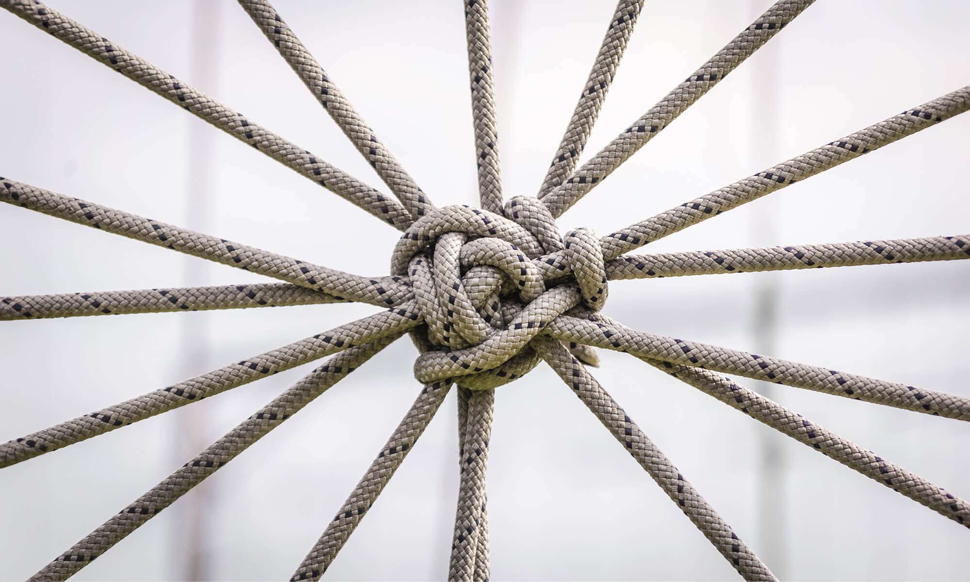 Los errores que no debes cometer al seleccionar un fondo