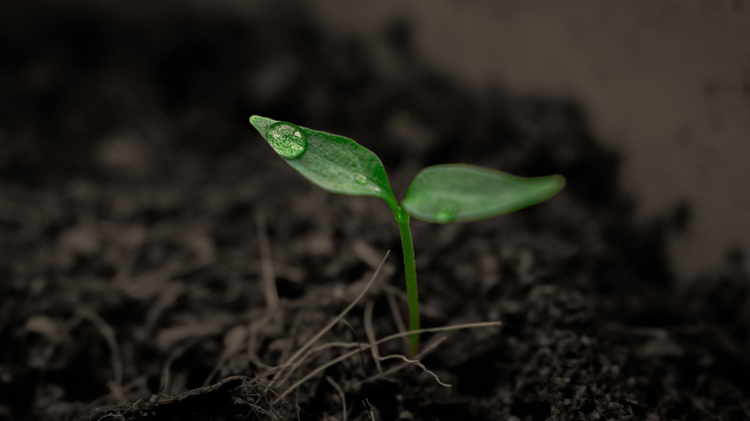 BESTINVER se compromete a cumplir los criterios de inversión responsable de la ONU