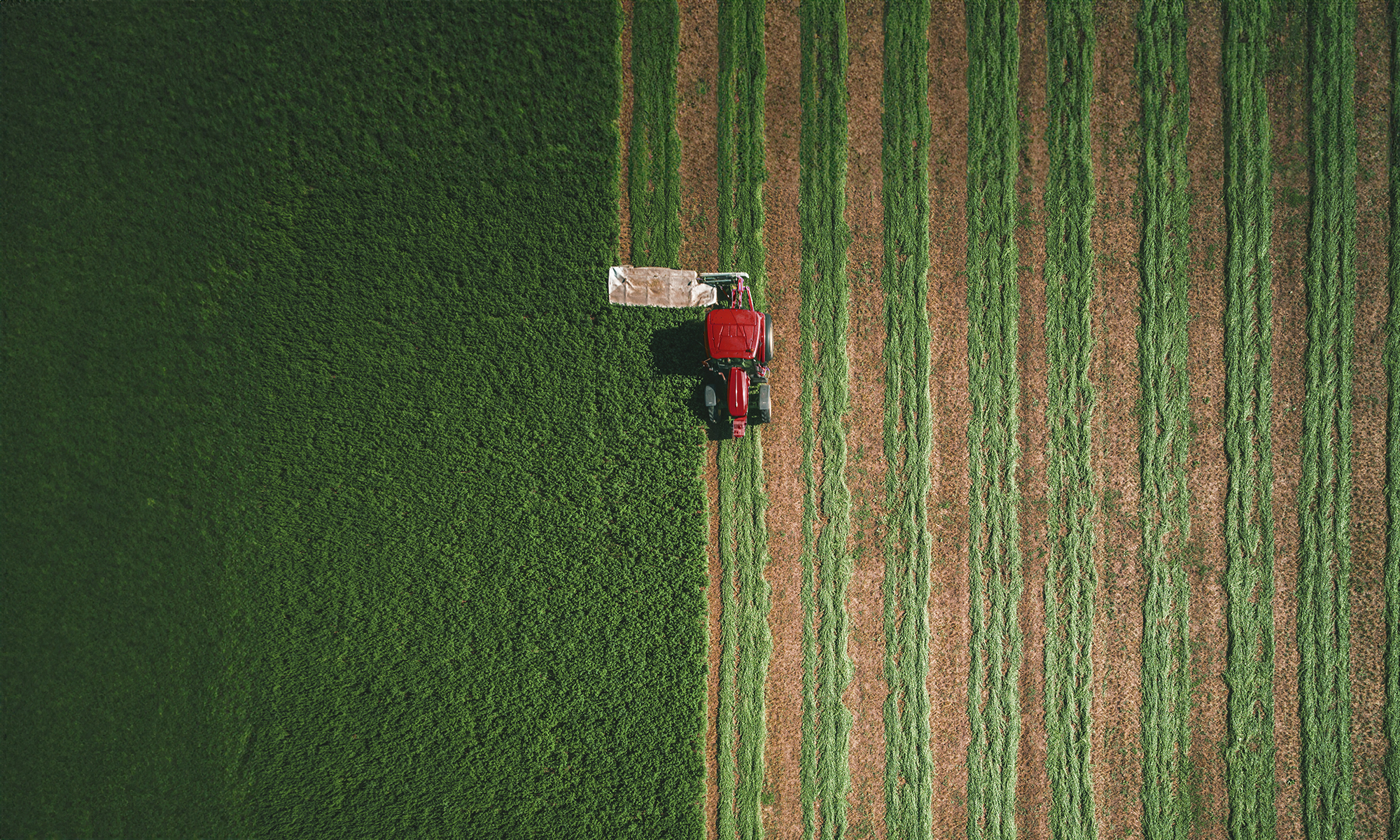 ¿Rescatar tu plan de pensiones o seguir invertido?
